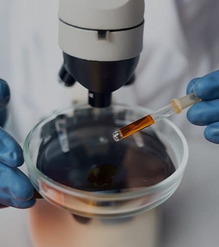 London Regenerative Institute